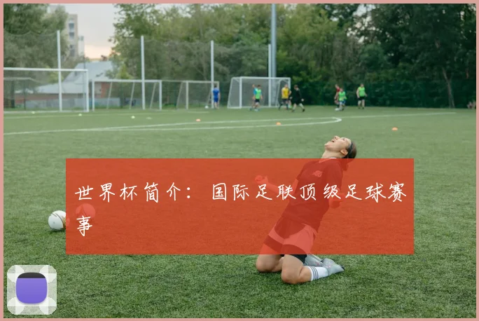 世界杯简介:国际足联顶级足球赛事