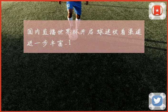 国内直播世界杯开启 球迷收看渠道进一步丰富_1
