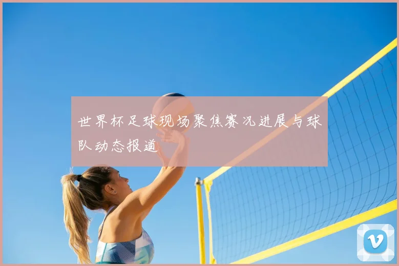 世界杯足球现场聚焦赛况进展与球队动态报道